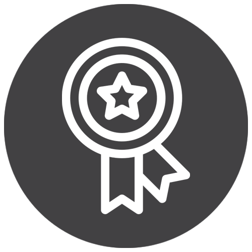 High quality - Medal icon